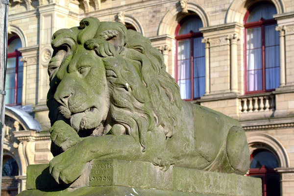 lion-hunter
